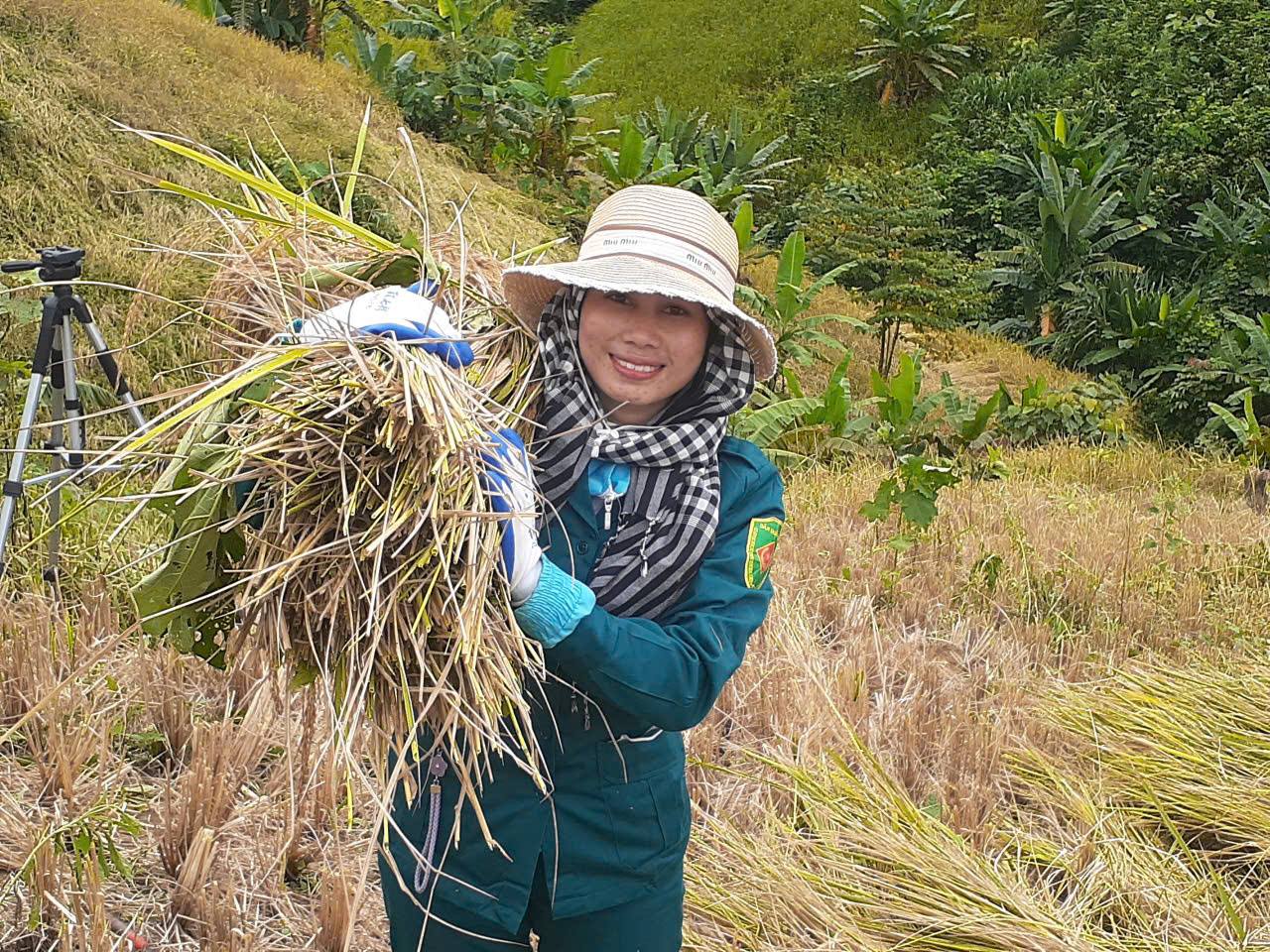 anh tin bai